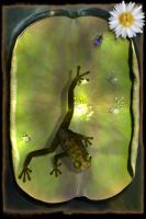 AF1 133x200   Ancient Frog   noha sem, noha tam, kde já vlastně tělo mám?