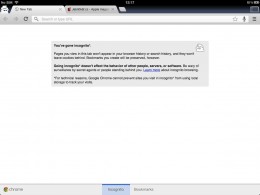 Recenze Google Chrome pro iOS chrome ipad 03 260x195 Recenze Google Chrome pro iOS