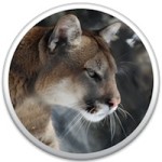 Cougar, nebo Lynx? Hledá se příští kočka pro OS X