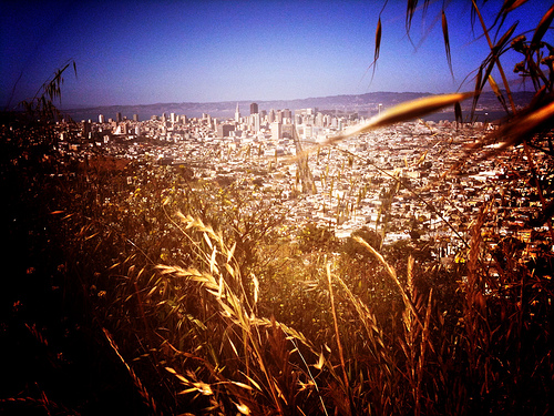 4633268229 661786cf3f