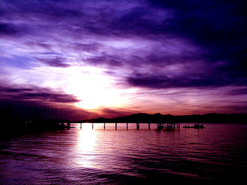 4678314596 49392d6a94