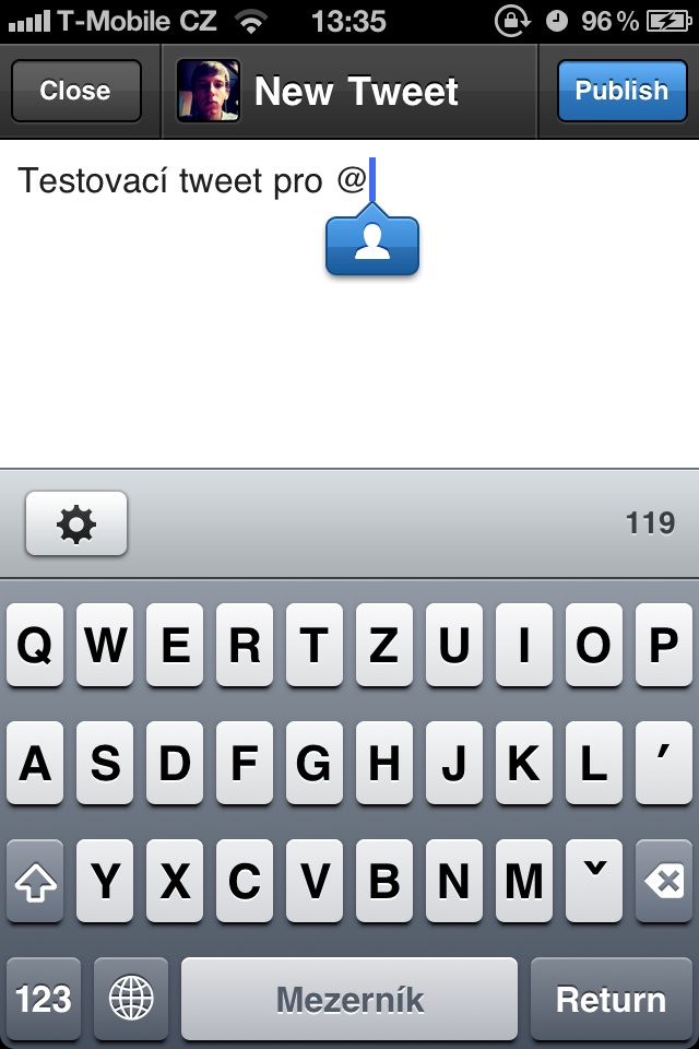 tweetbot 12