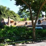 Steve Jobs house icon 150x150