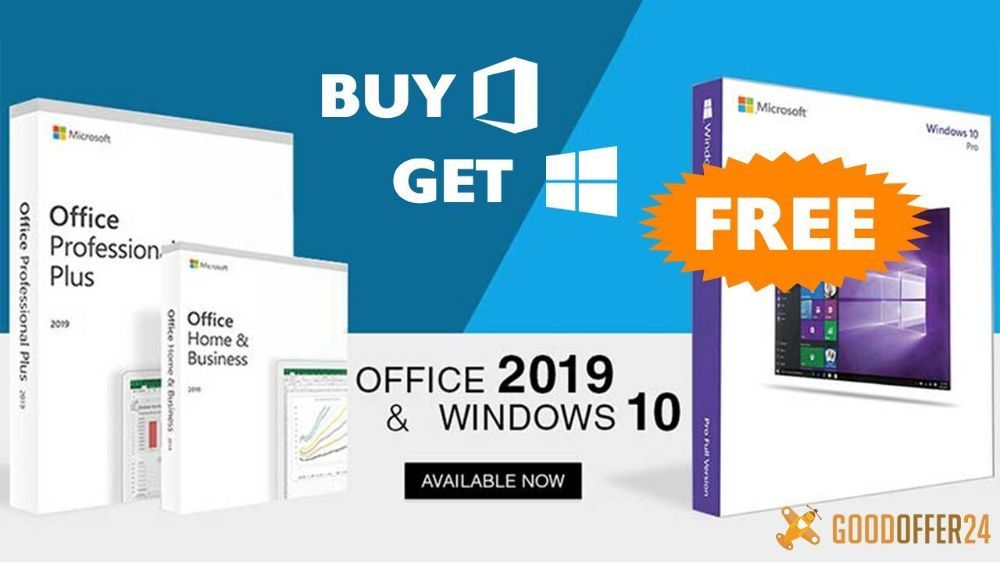 office professional plus 2019 vs office home and business 2019