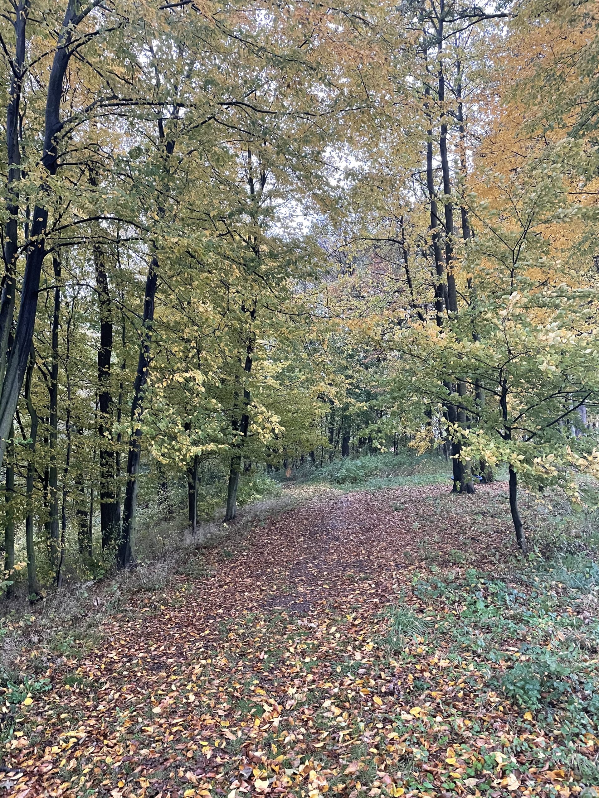 iphone_12_pro_jablickar32 iPhone XS fotografie