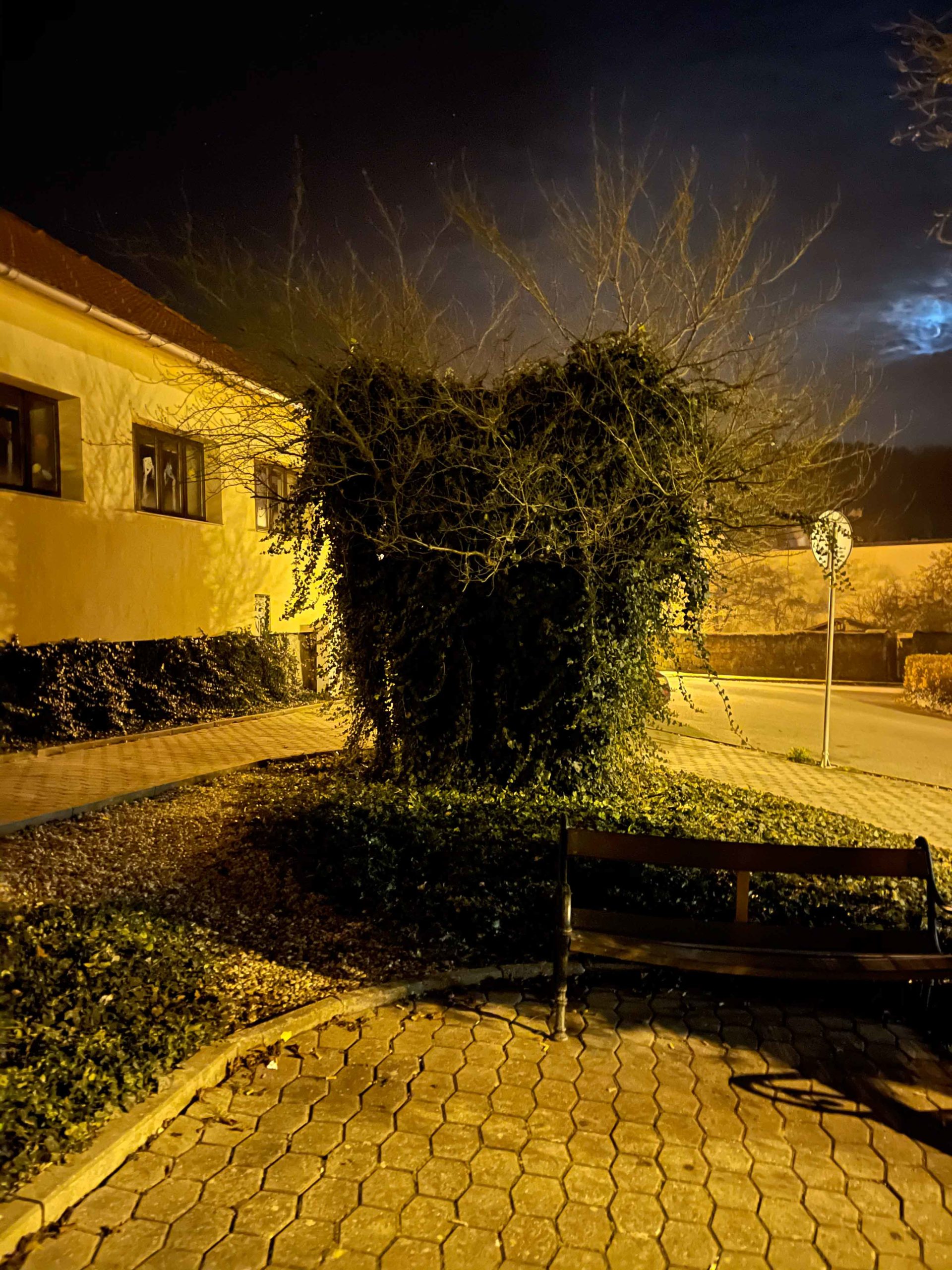 fotky z iphone 12 pro max v noci25