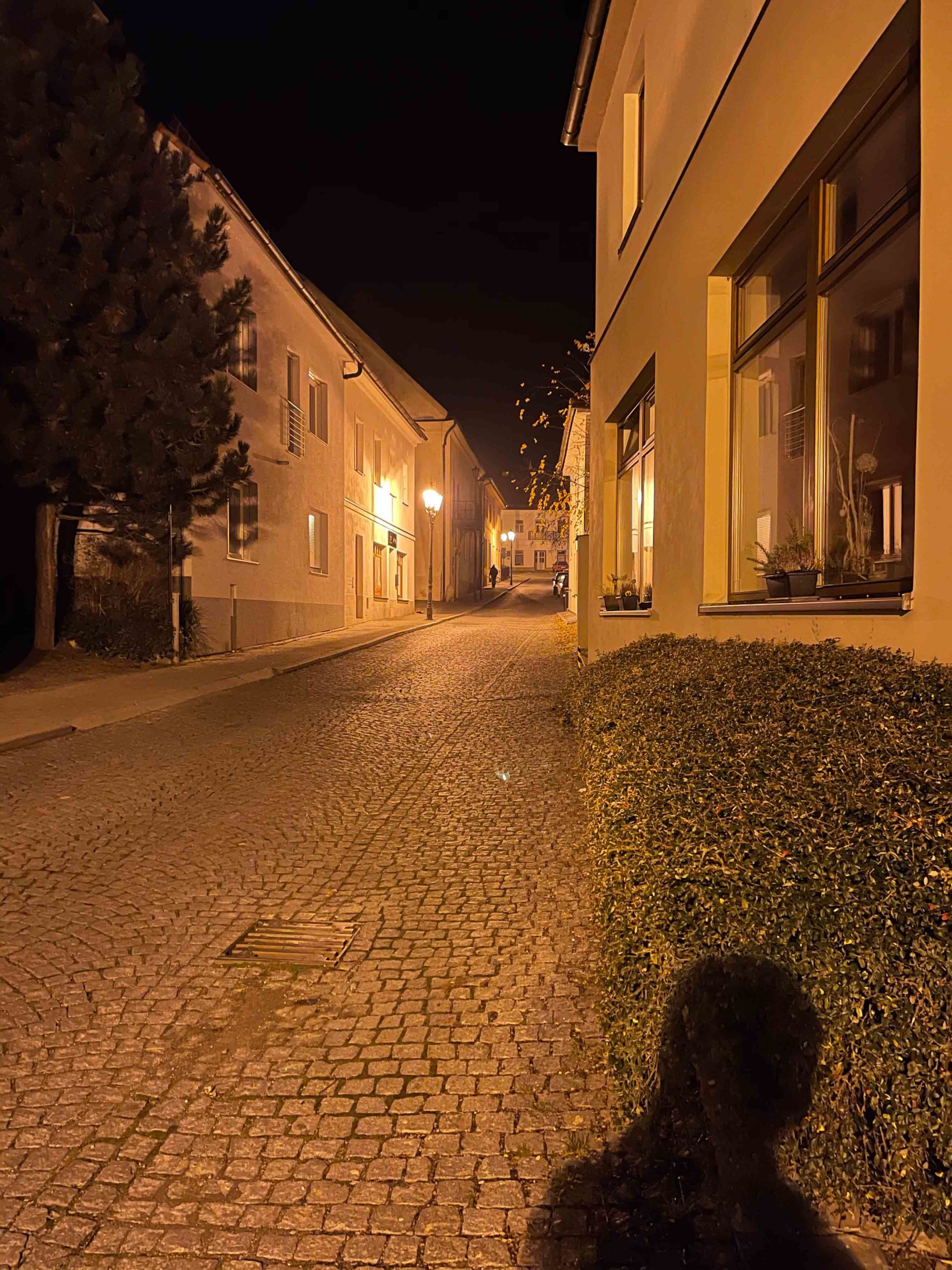 fotky z iphone 12 pro max v noci26