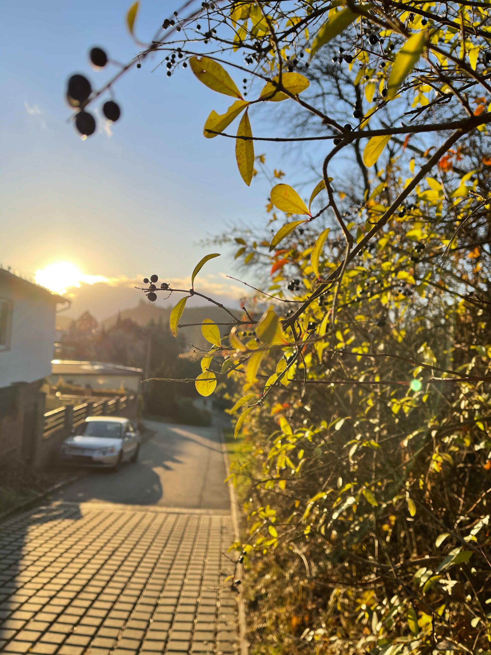 fotky z iphone 12 pro max ve dne35