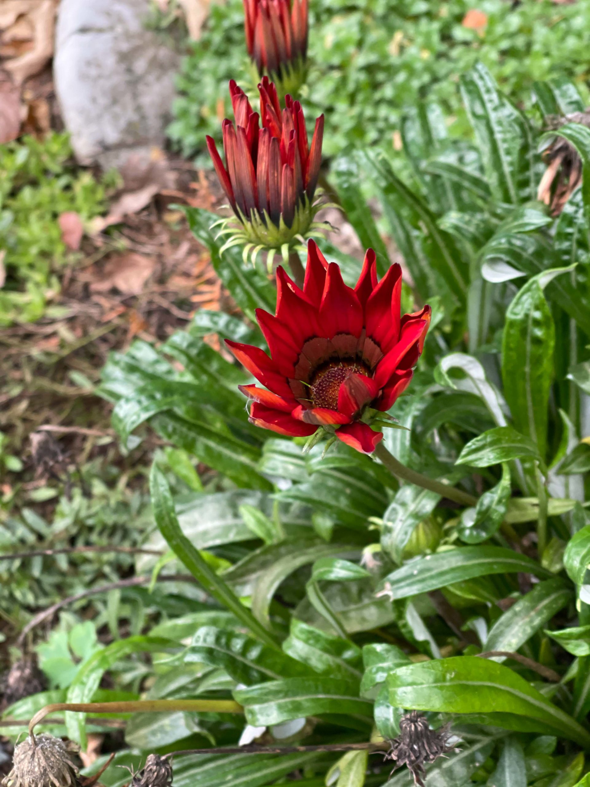 fotky z iphone 12 pro max ve dne4