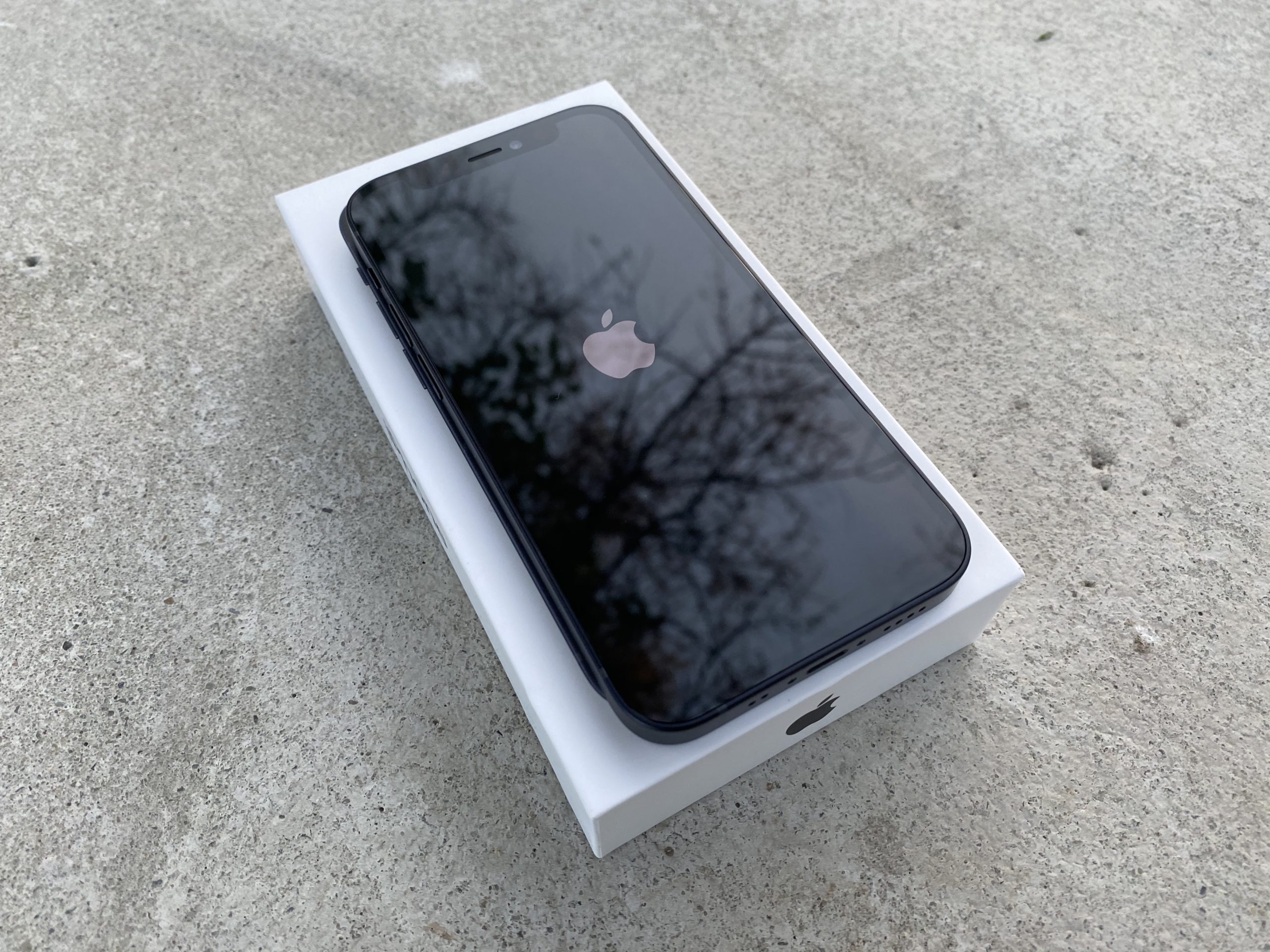 iPhone 12 mini LsA19