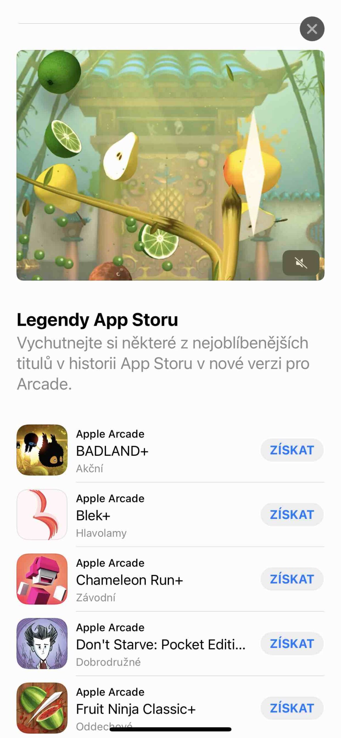 ARCADE 11 ARCADE 11