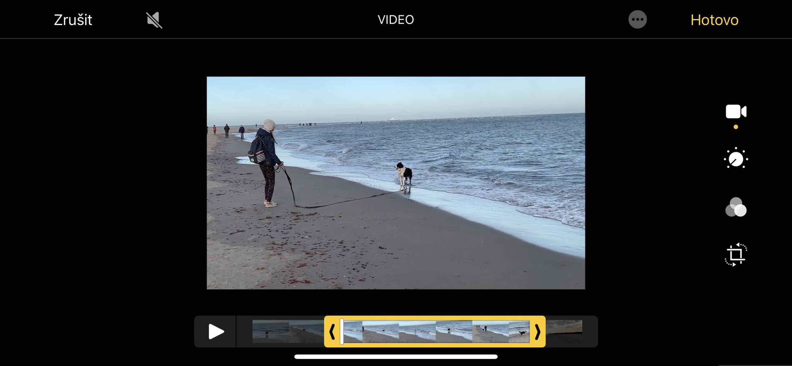 Video 5 Video 5