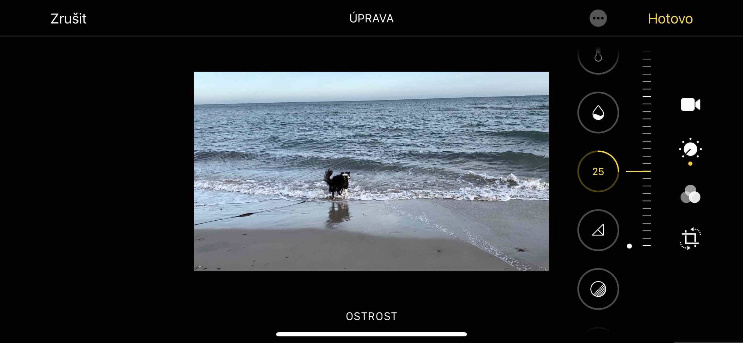 Video 8 Video 8