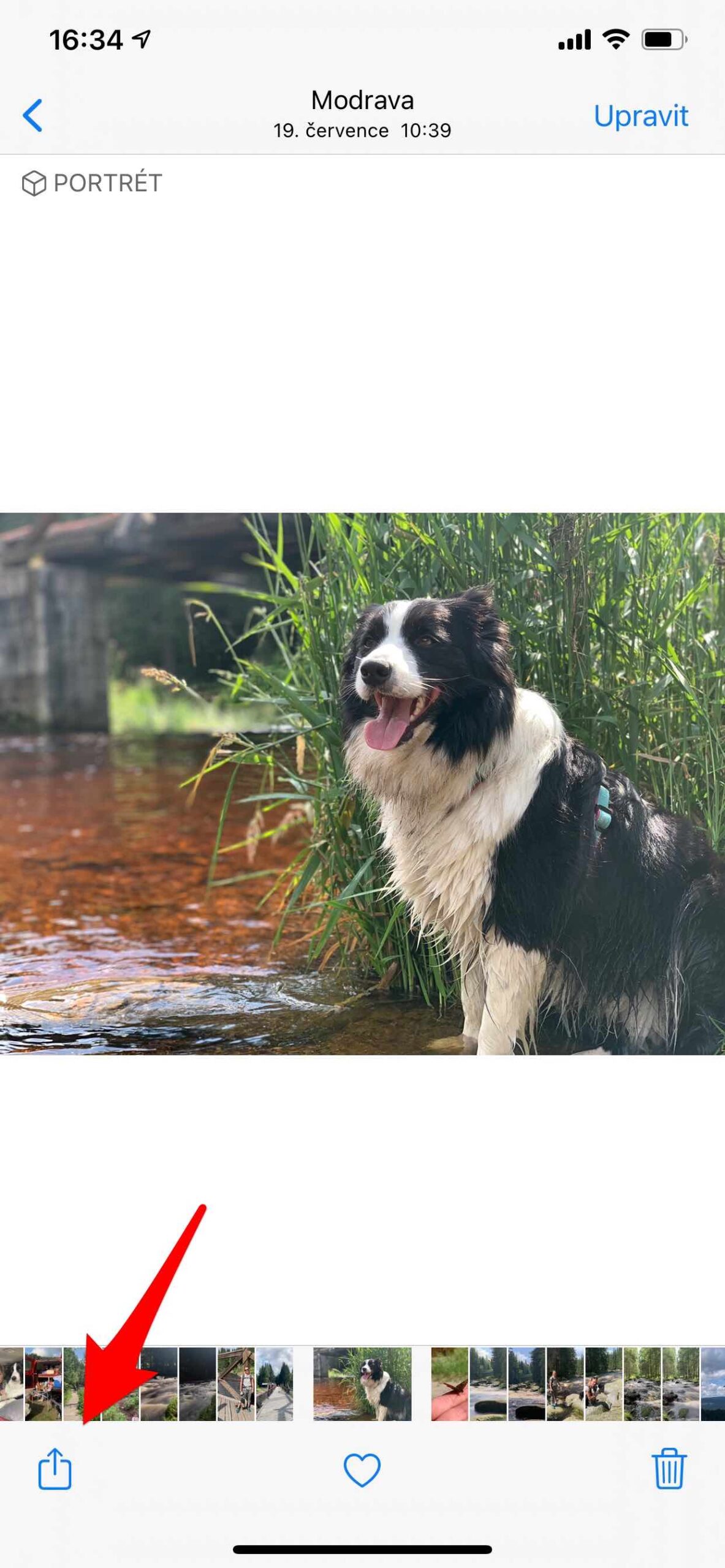 Sdílení fotek a videí na iPhonu