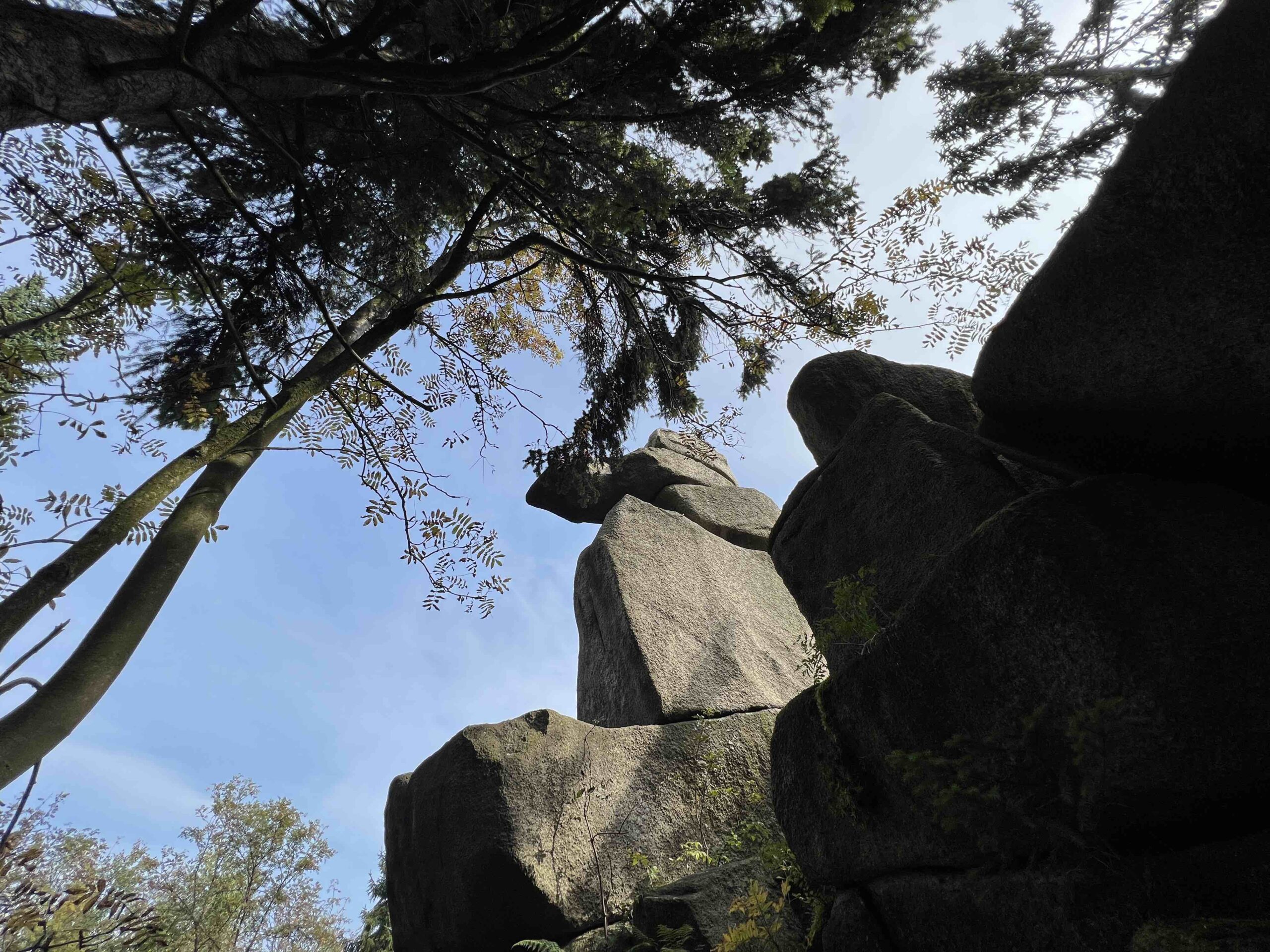 iPhone 13 Pro Max recenze