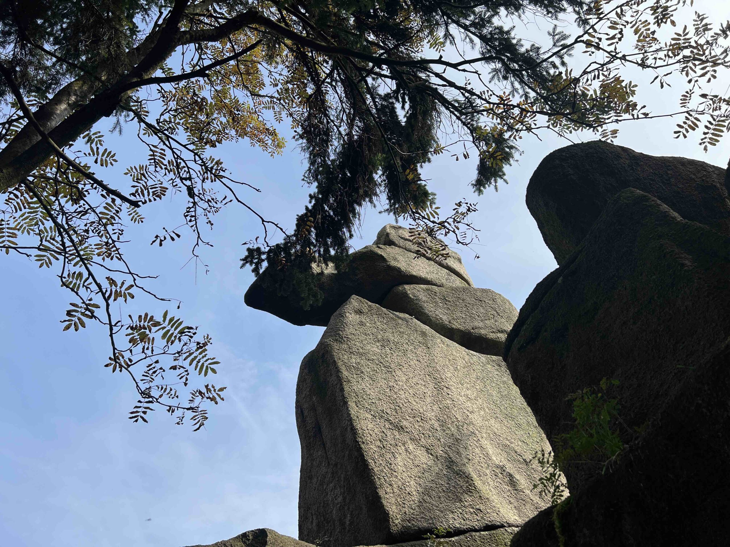 iPhone 13 Pro Max recenze