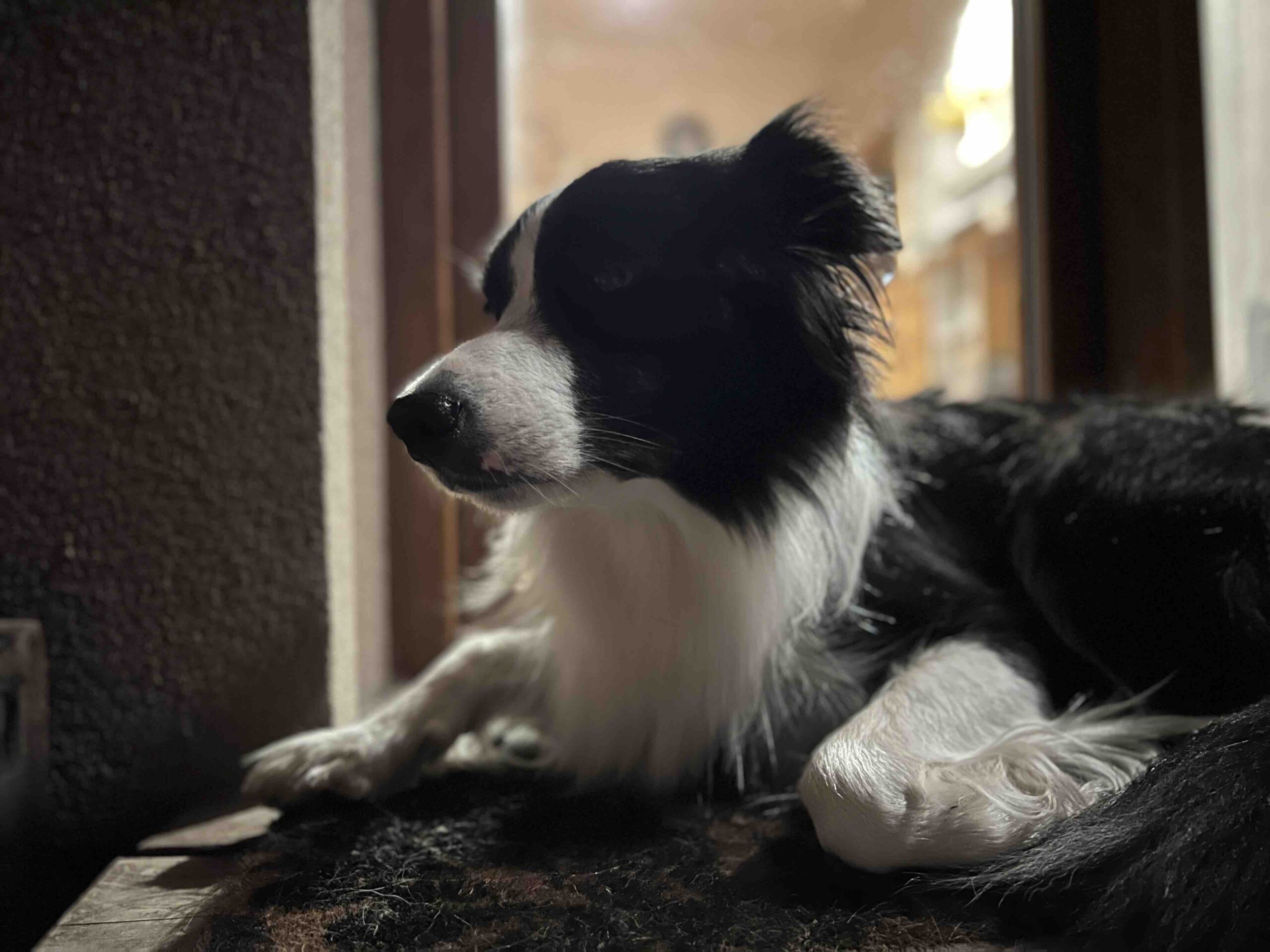 iPone 13 Pro max recenze