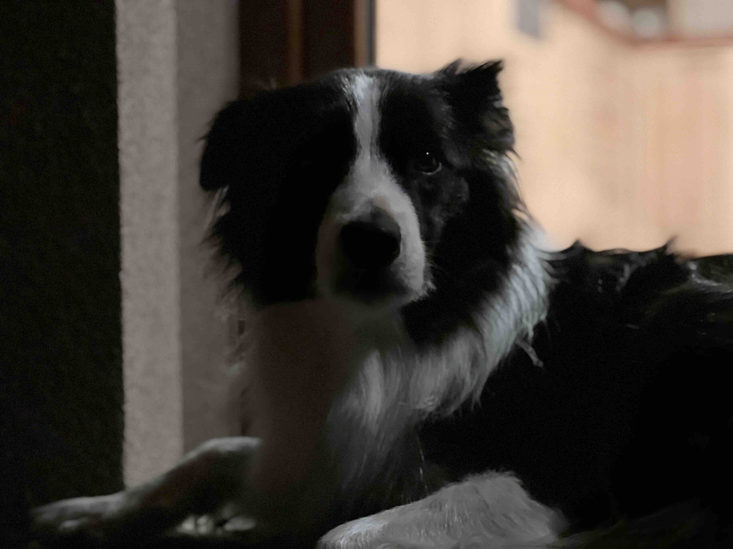 iPone 13 Pro max recenze