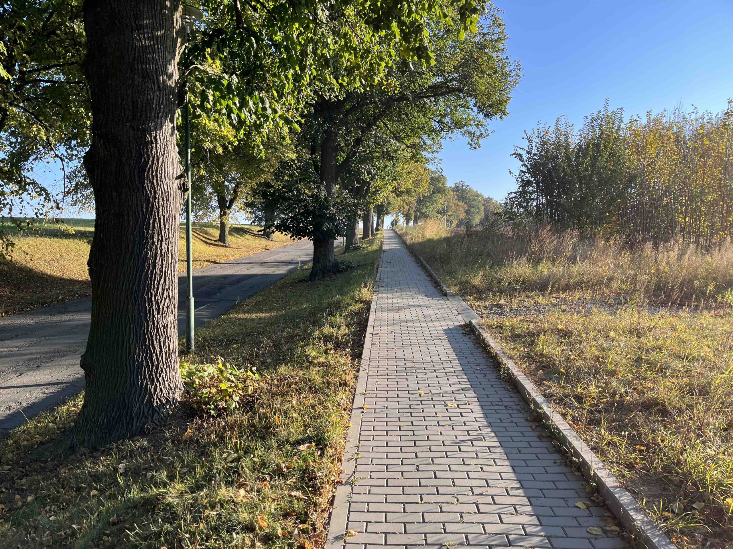 iPhone 13 mini fotky den 68