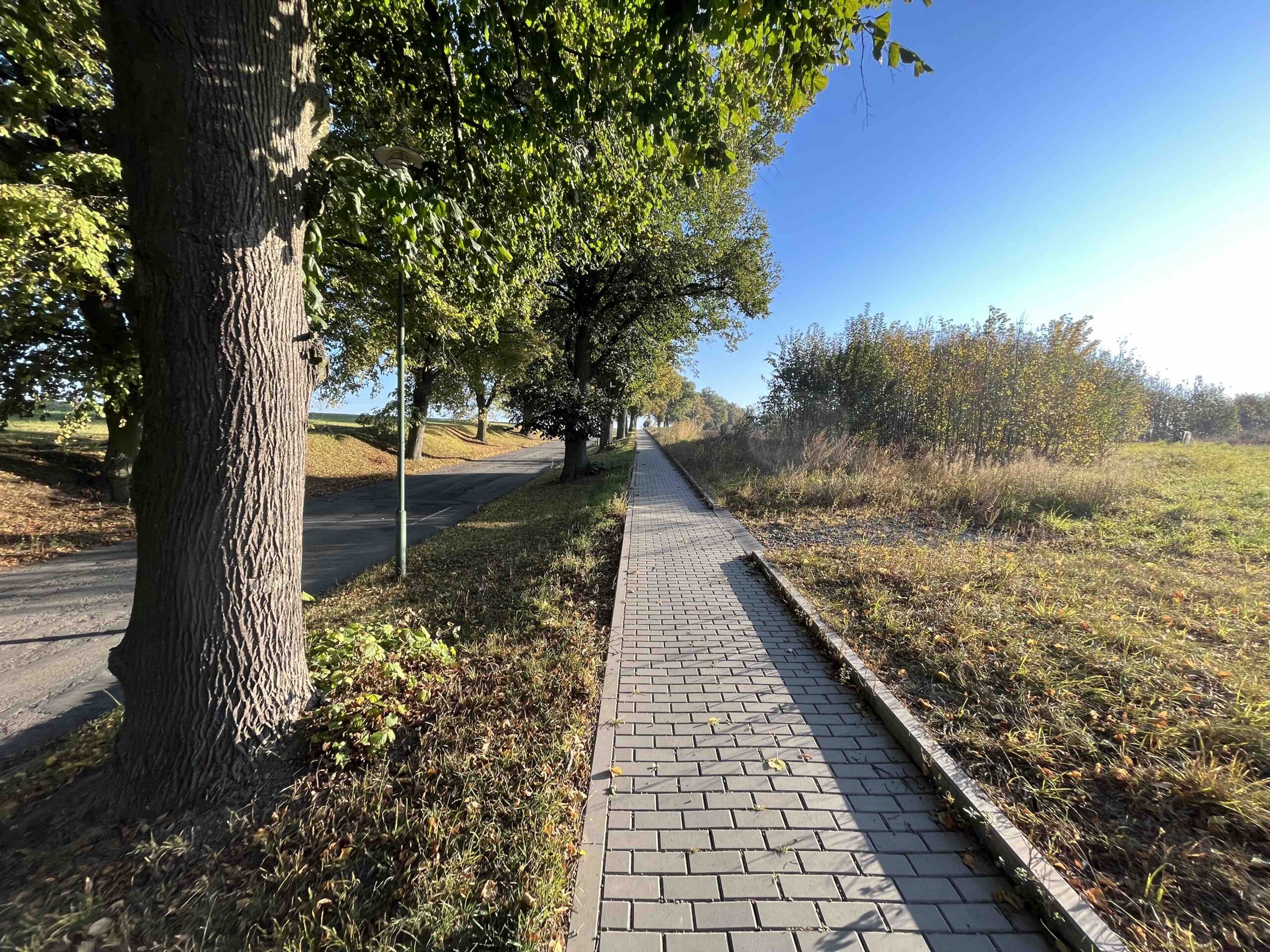 iPhone 13 mini fotky den 69