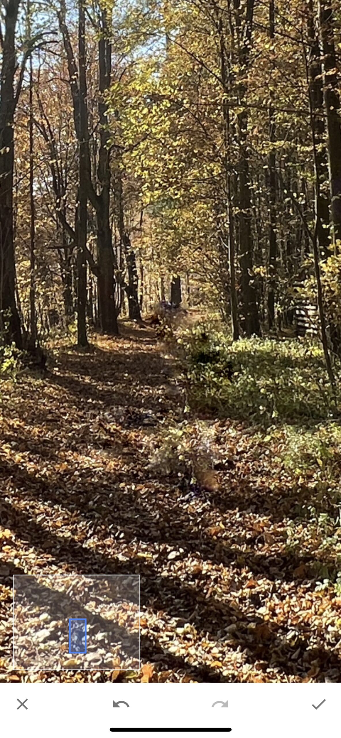 Snapseed 8 retuš fotografie