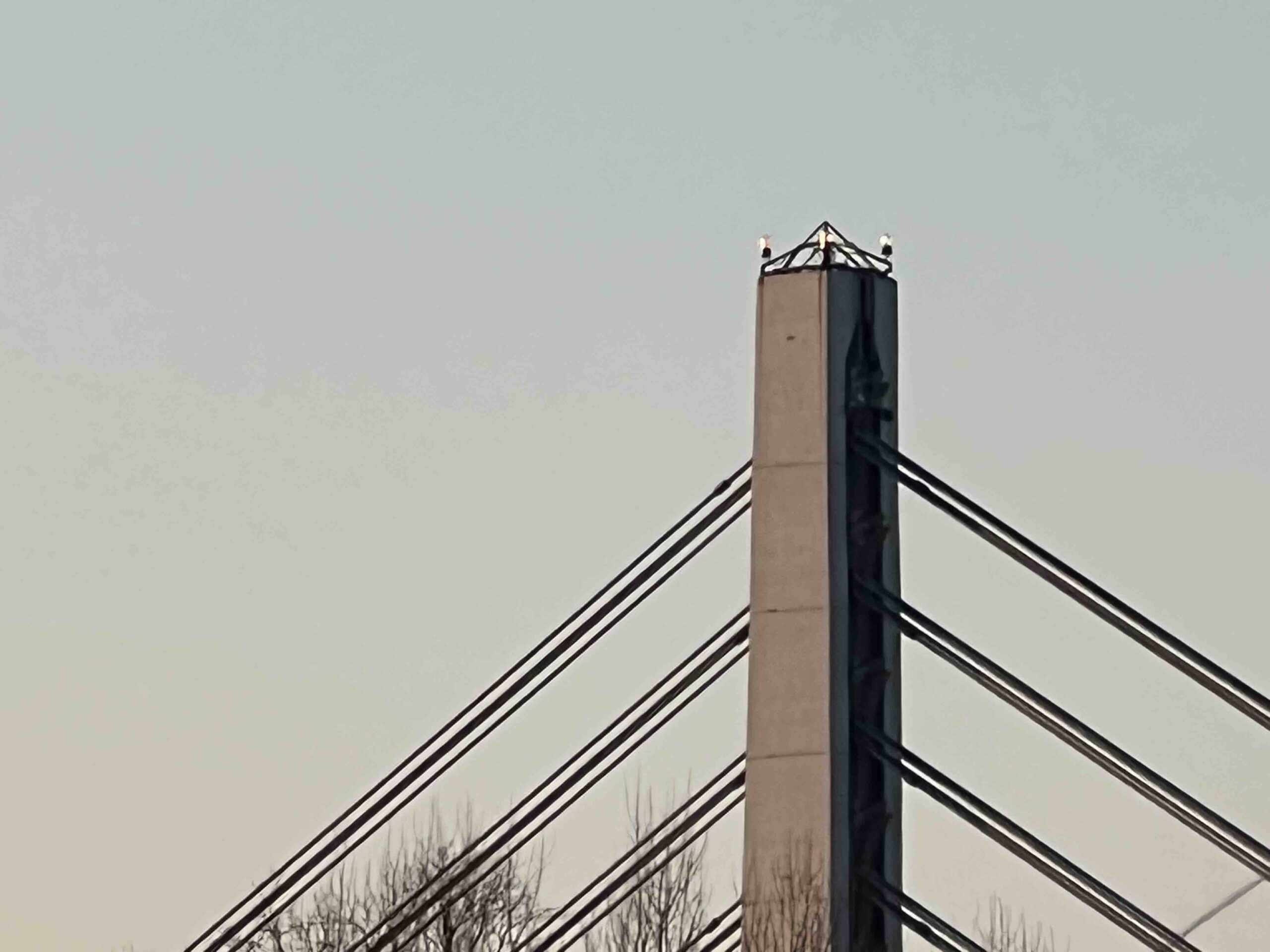 IMG_3600