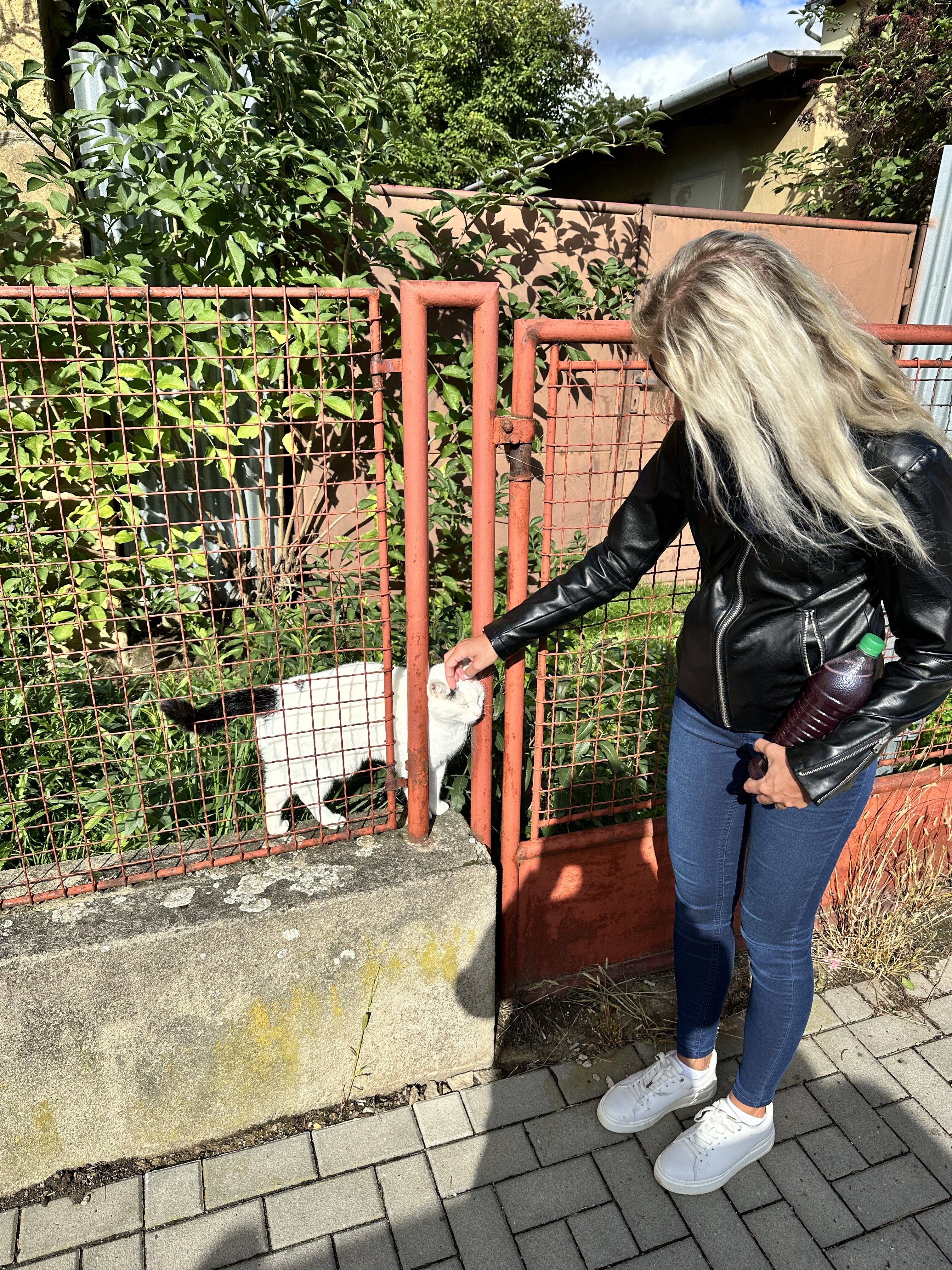 IPhone 14 Pro Jablickar 9