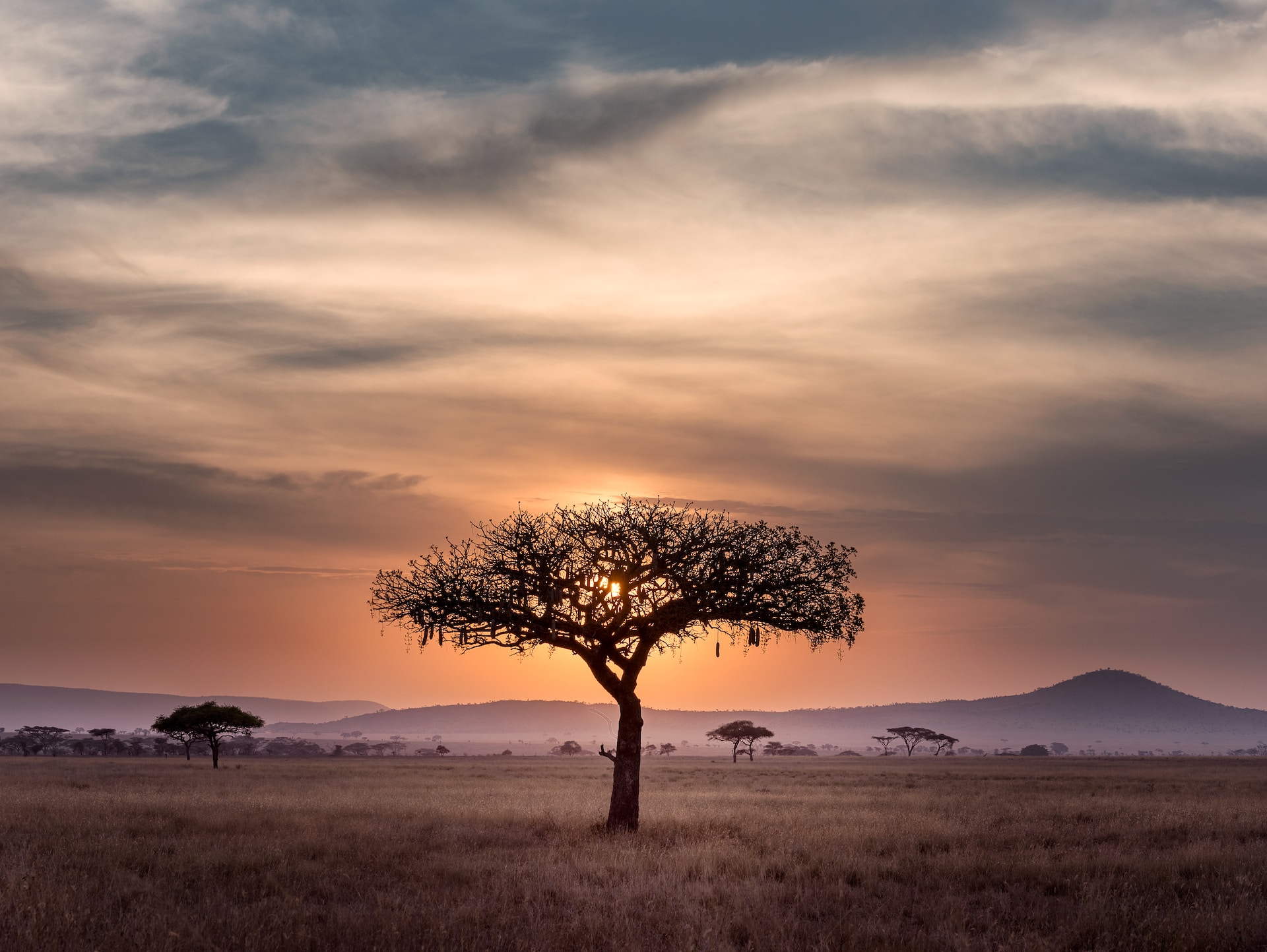 tanzanie Tanzanie