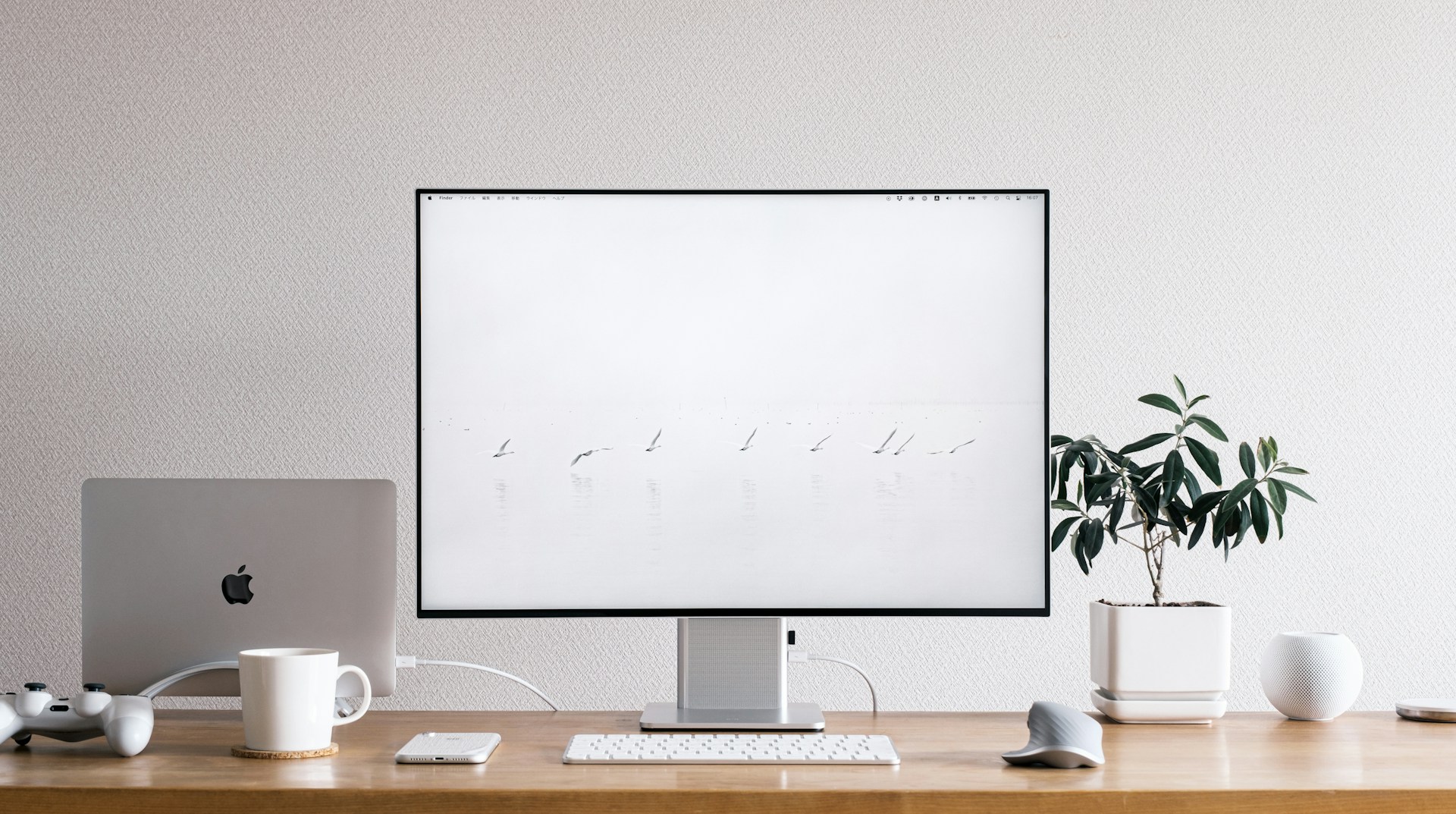 sora-sagano-3BMIntVUsjQ-unsplash sora sagano 3BMIntVUsjQ unsplash
