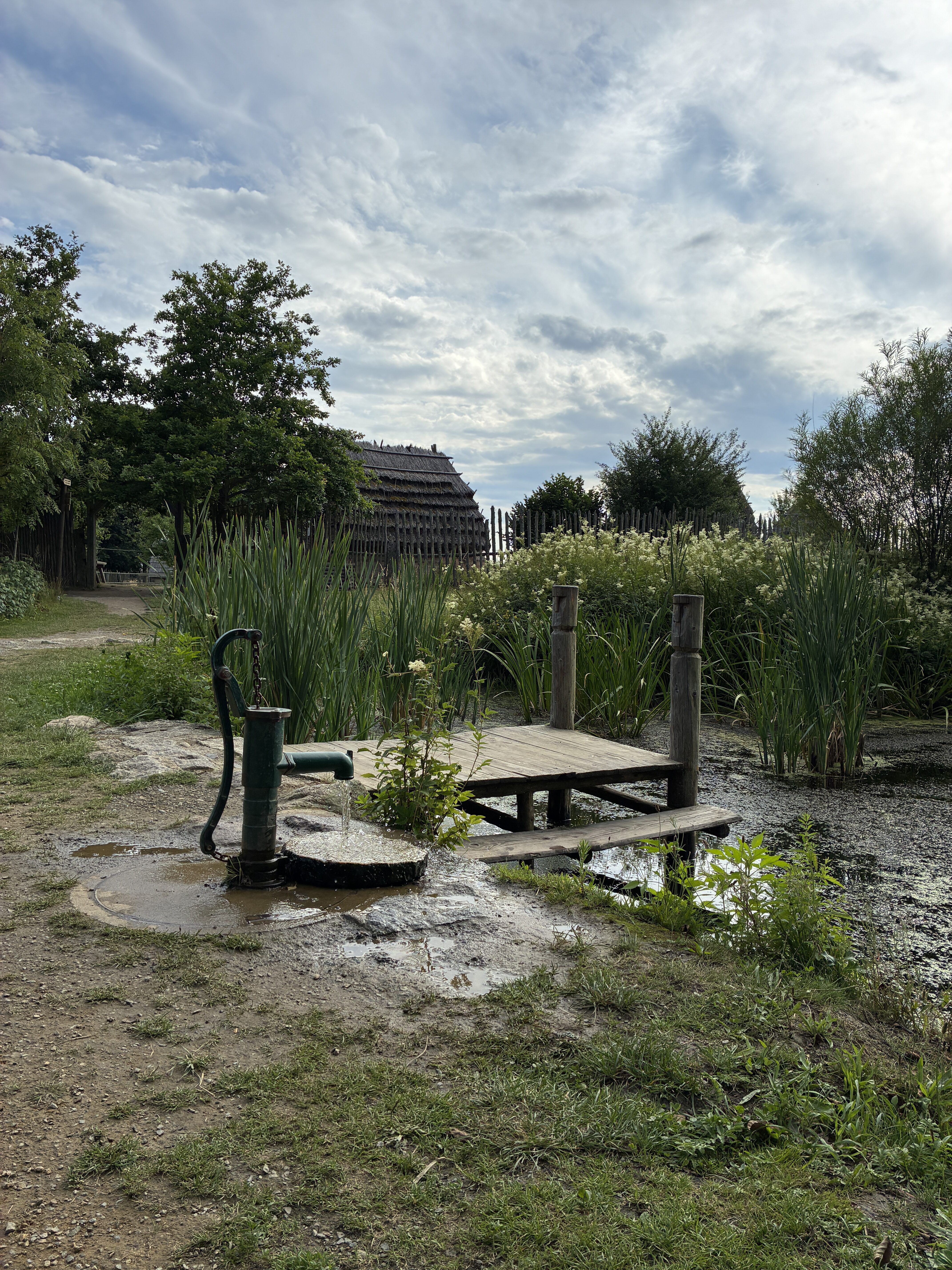 IMG_1134 IMG 1134