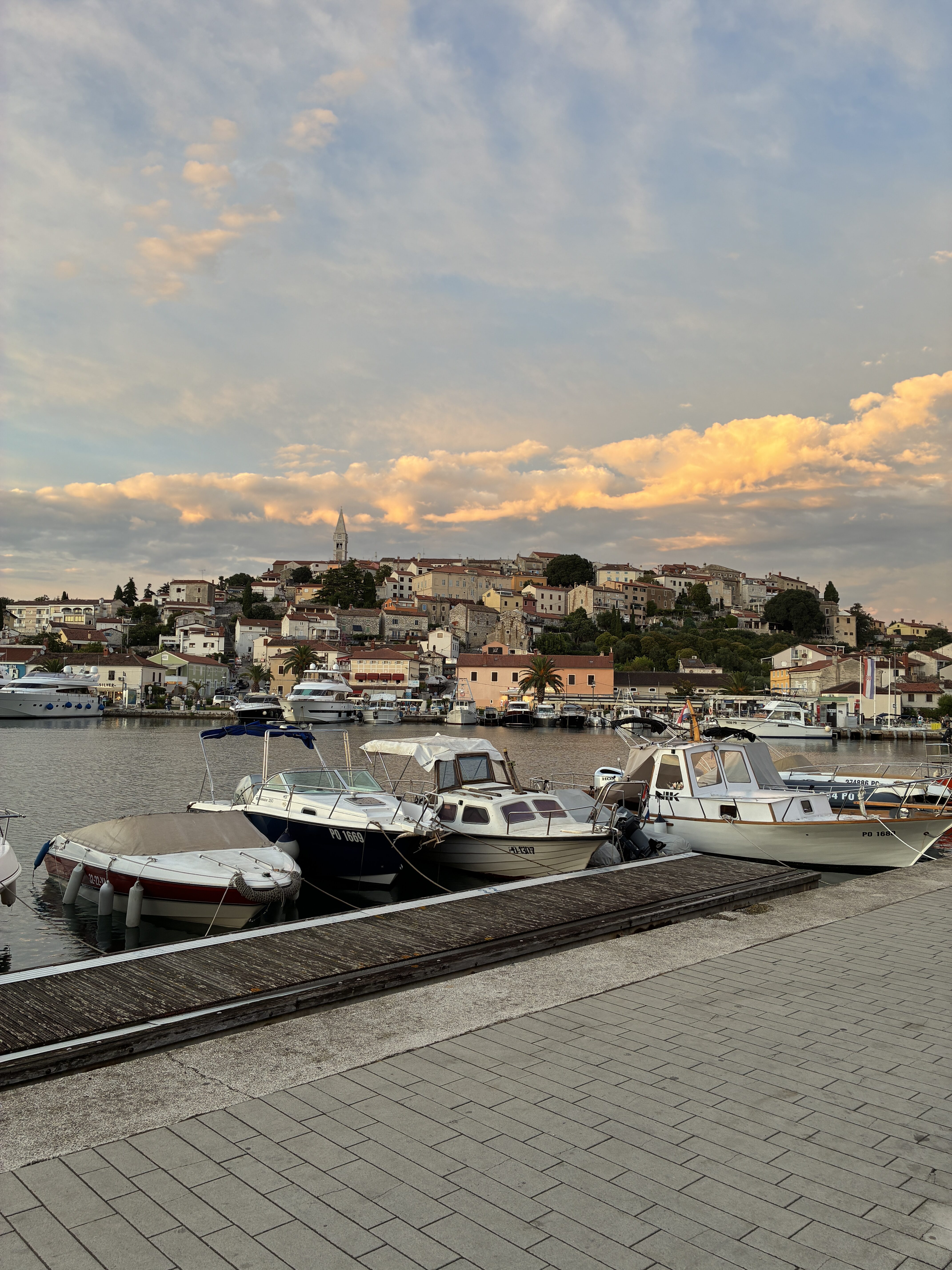 IMG_1270 IMG 1270