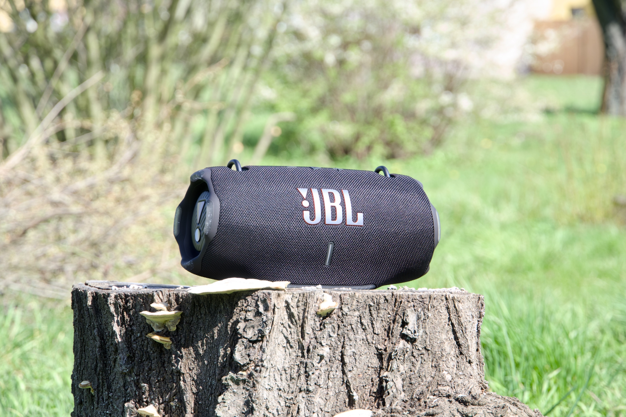 JBL Extreme 4 nature outside stump 1