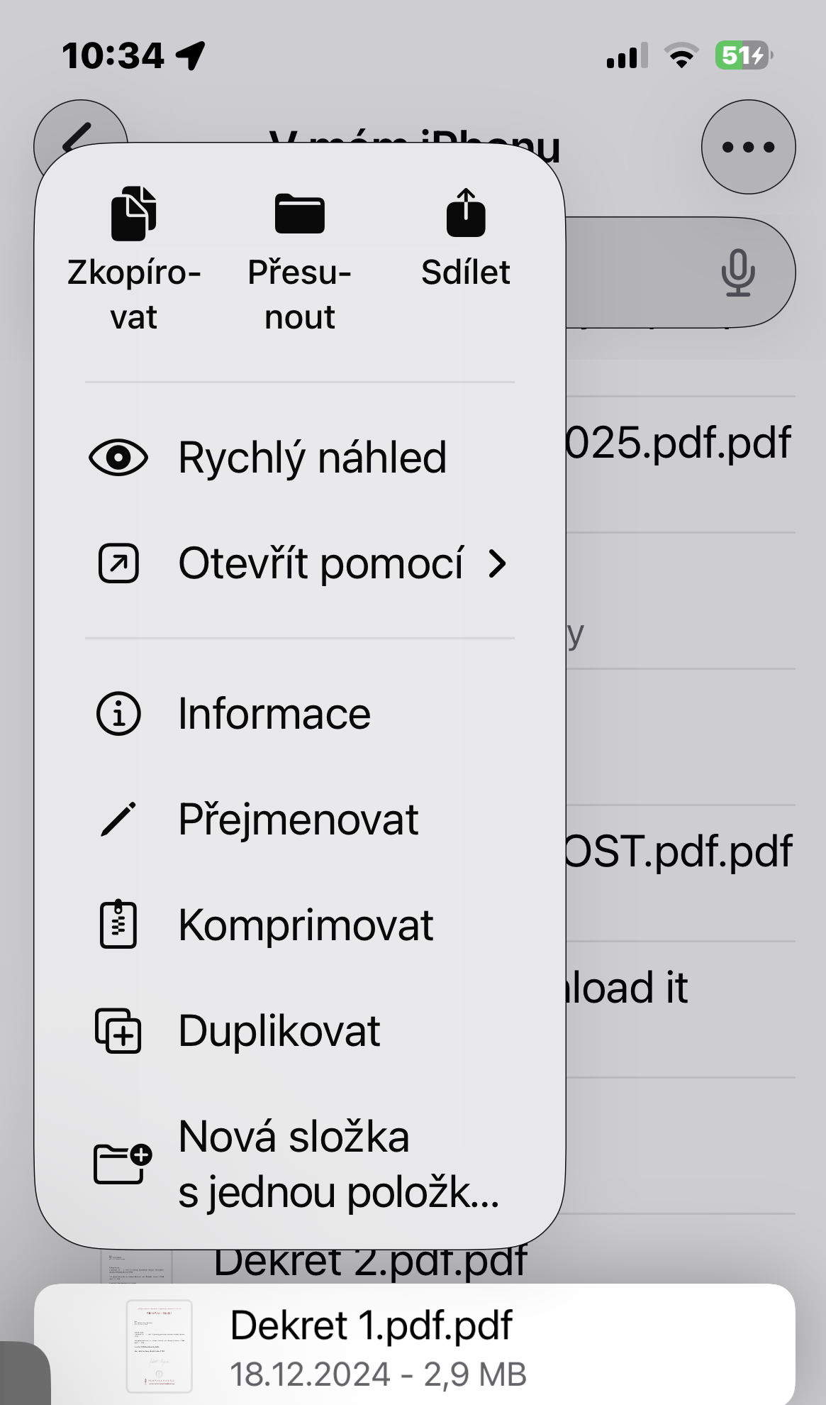 Soubory vzdy otevirat 1