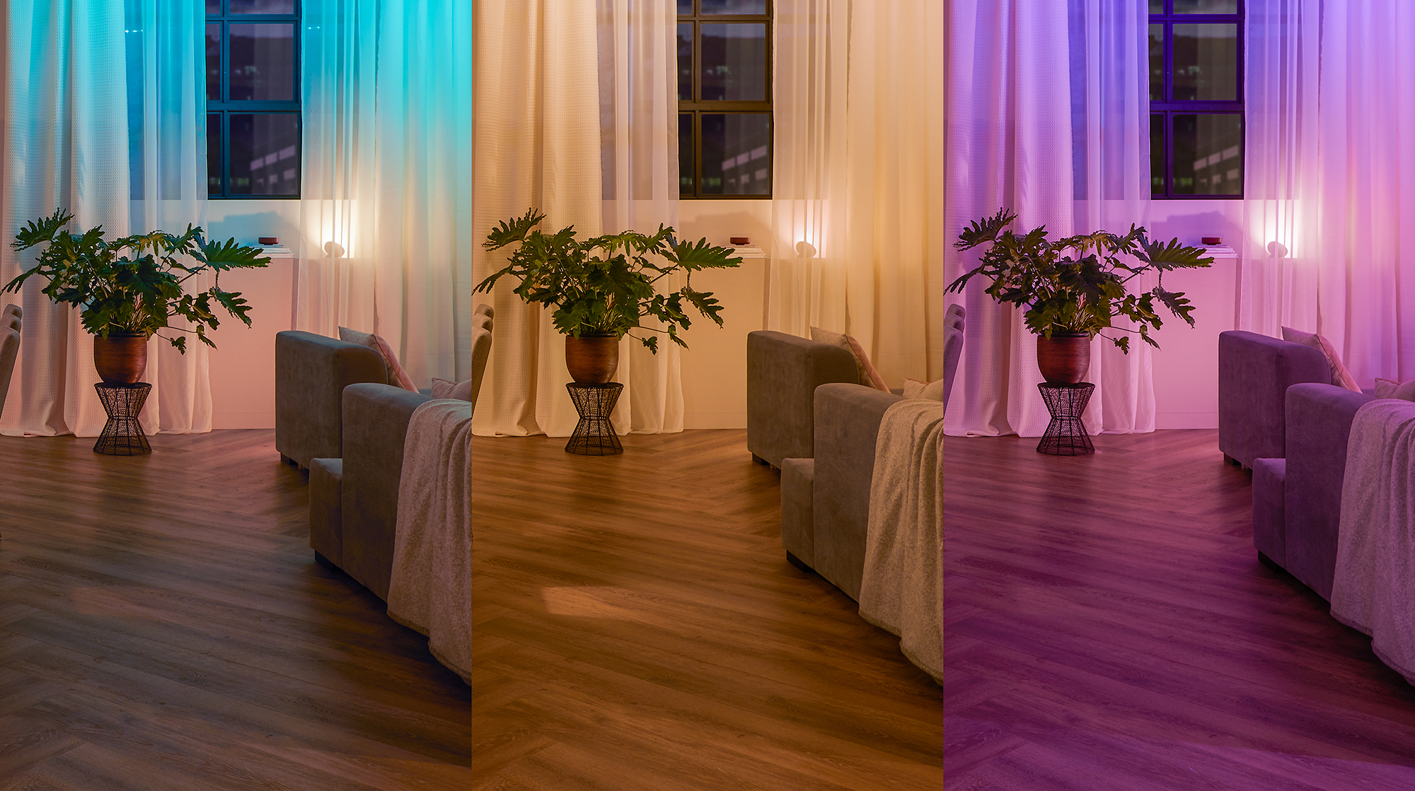 929003017101 Hue Wallswitch Feature 3 ZORRO clean 2